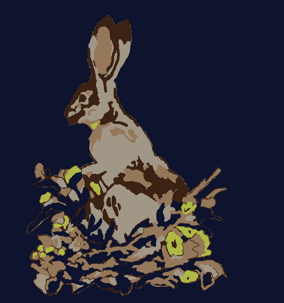sitting hare